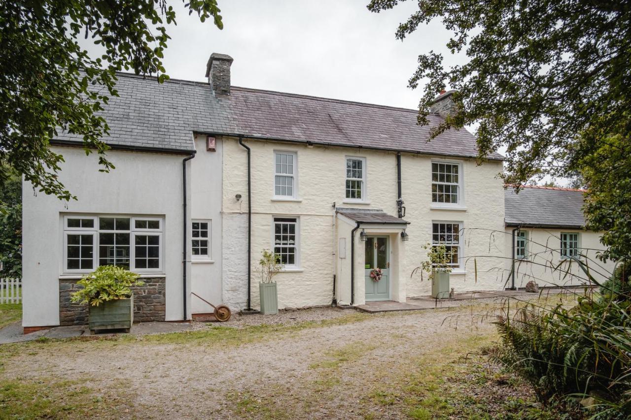 The Green Door Vegan B&B Llanon Buitenkant foto